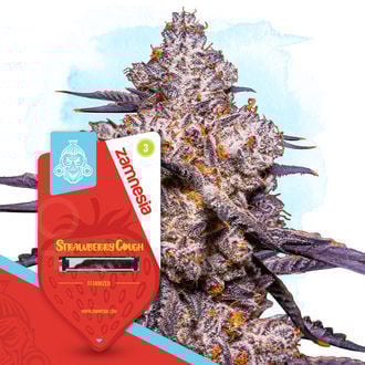 strawberry-cough-image