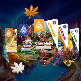 sugar-valley-autoflower-bundle-image