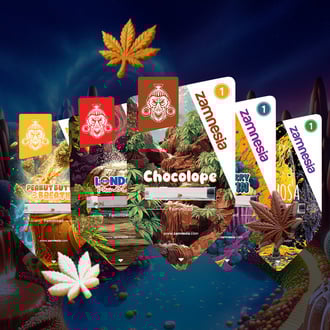 sugar-valley-bundle-image