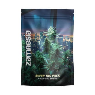 super-thc-pack-autoflower-strains-image