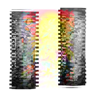 Terpene Dream Pack - Strains