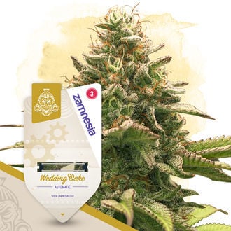 wedding-cake-autoflower-image