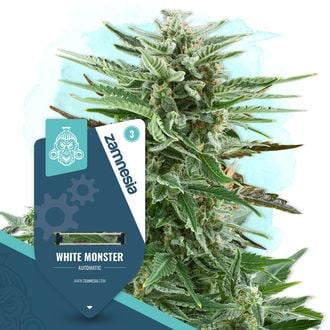 white-monster-autoflower-image