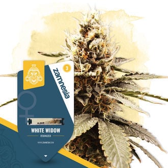 white-widow-image