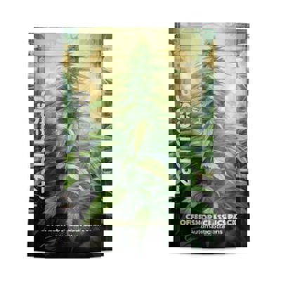 Coffeeshop Classics Pack - Autoflower Strains