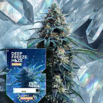 deep-freeze-haze-image