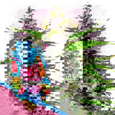 Fruit Punch Autoflower