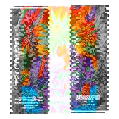 In-Di-Couch Indica Pack - Strains