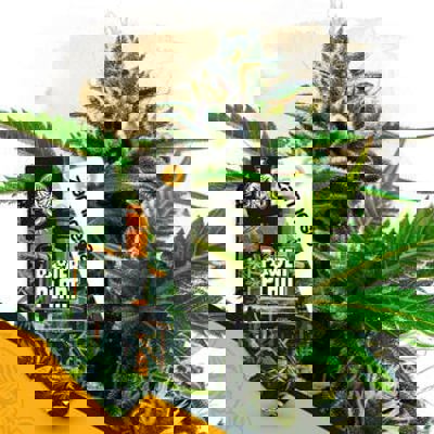 Power Plant Autoflower