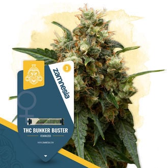 thc-bunker-buster-image