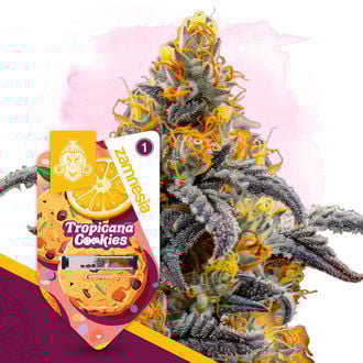 tropicana-cookies-image