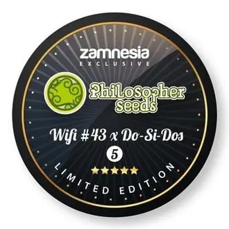 Wifi 43 x Do-Si-Dos