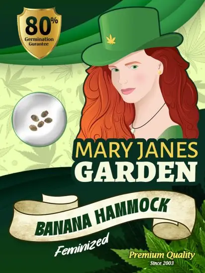 Banana Hammock