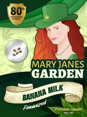 Banana Milk