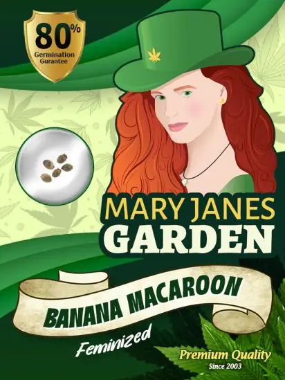 Banana Macaroon
