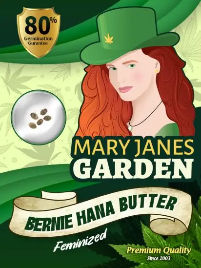 Bernie Hana Butter