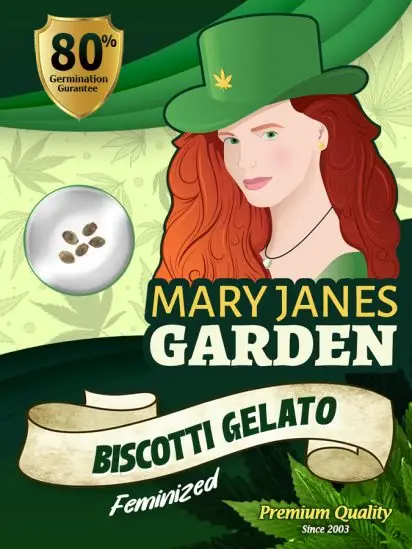 Biscotti Gelato – Mary Jane's Garden