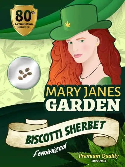 Biscotti Sherbet