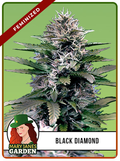 Black Diamond