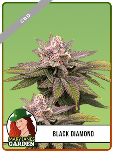 Black Diamond CBD