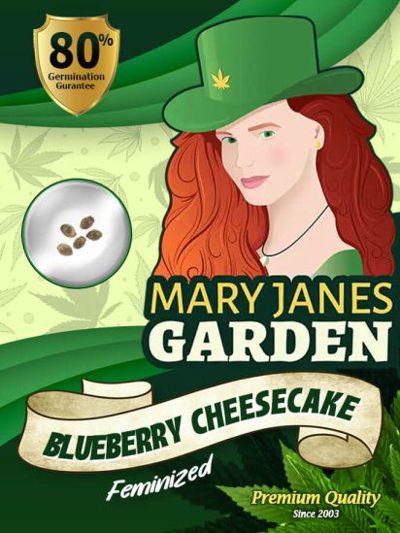 Blueberry Cheesecake