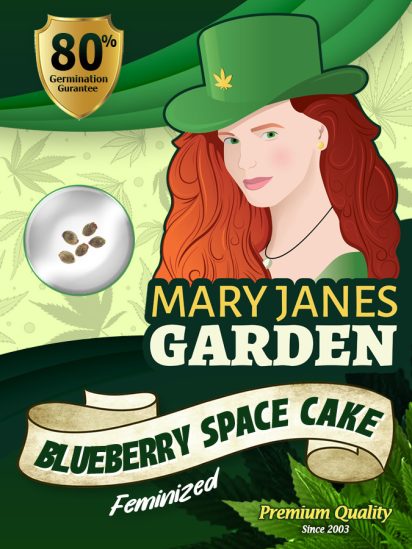 Blueberry Space Cake