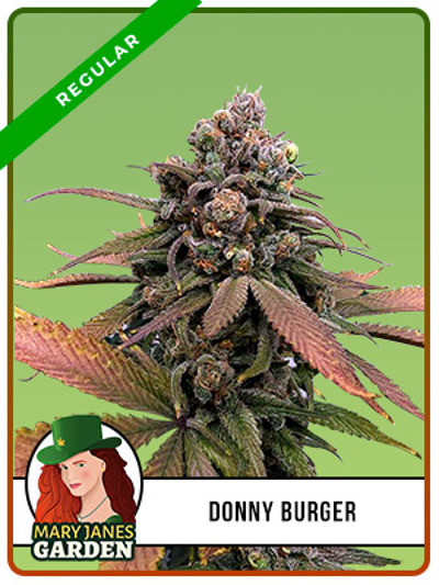 Donny Burger Regular