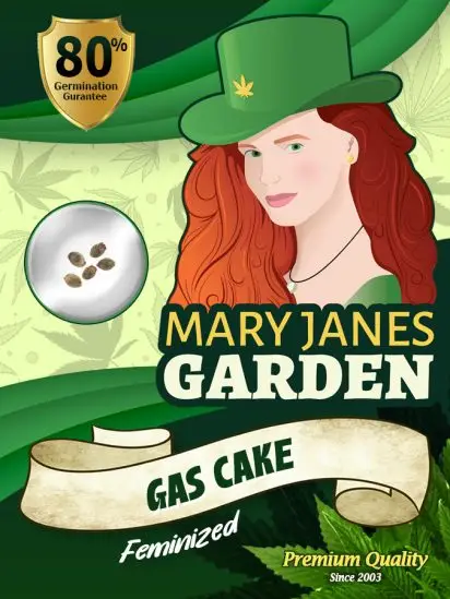 Gas Cake