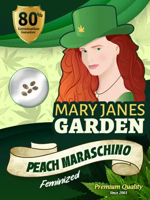 Peach Maraschino