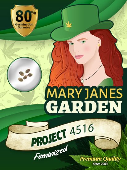 project-4516-image