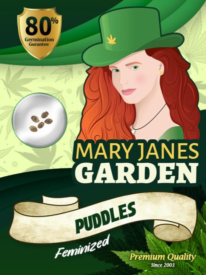 puddles-image