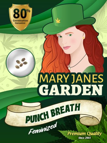 punch-breath-image