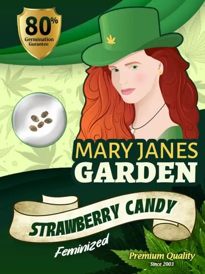 Strawberry Candy