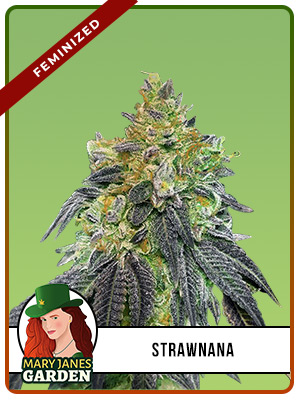 Strawnana