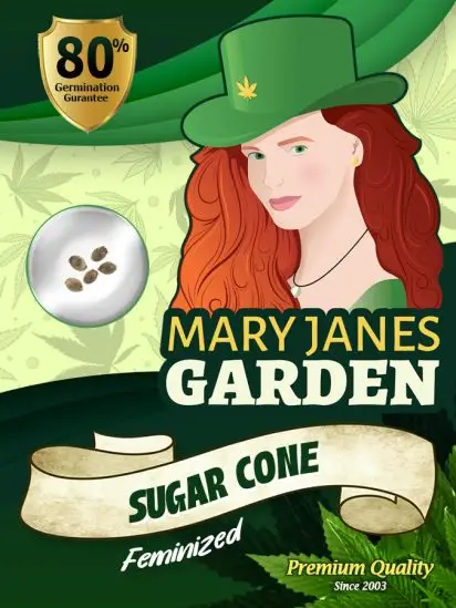 Sugar Cone