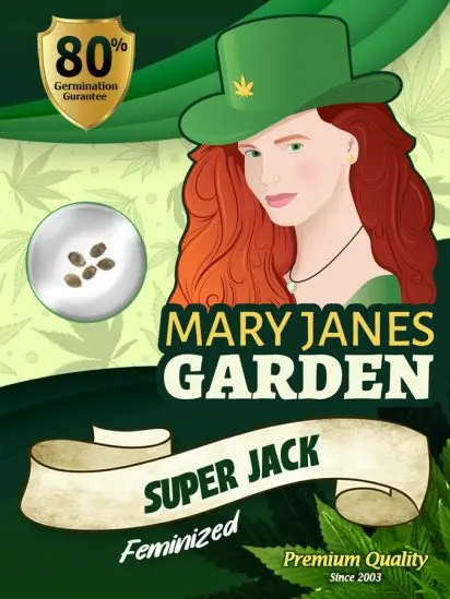 Super Jack