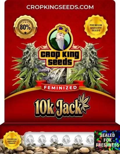 10k-jack-image