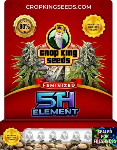 5th Element
