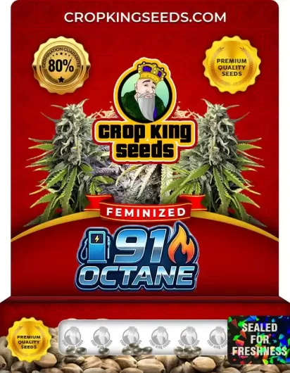 91-octane-image