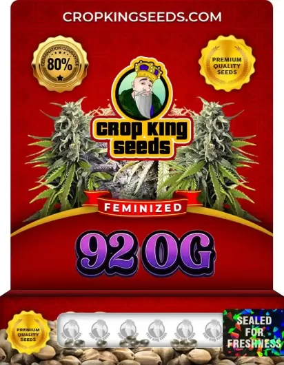 92-og-image