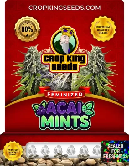 acai-mints-image