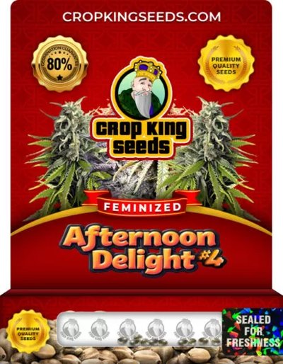 Afternoon Delight #4
