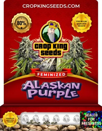 Alaskan Purple