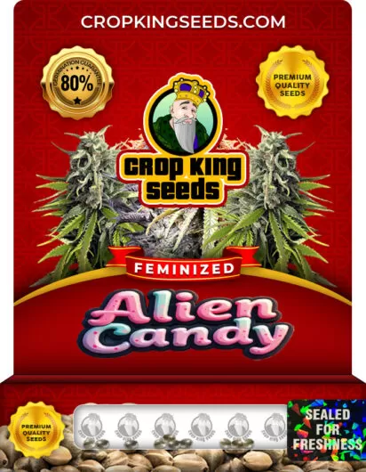 alien-candy-image