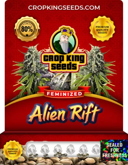 alien-rift-image