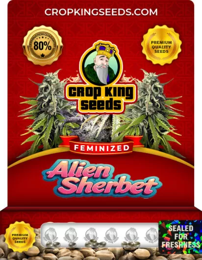 alien-sherbet-image