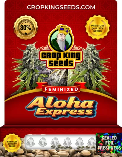 aloha-express-image
