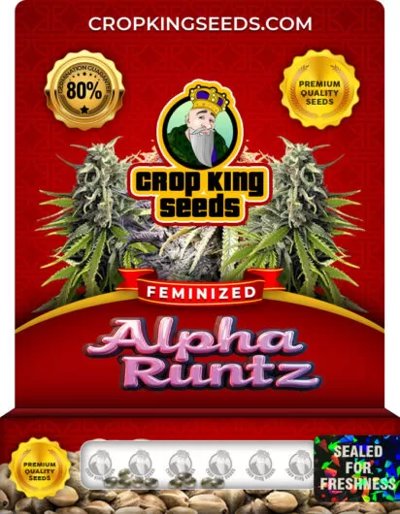 Alpha Runtz