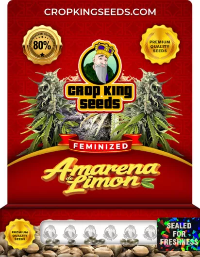 amarena-de-limon-image
