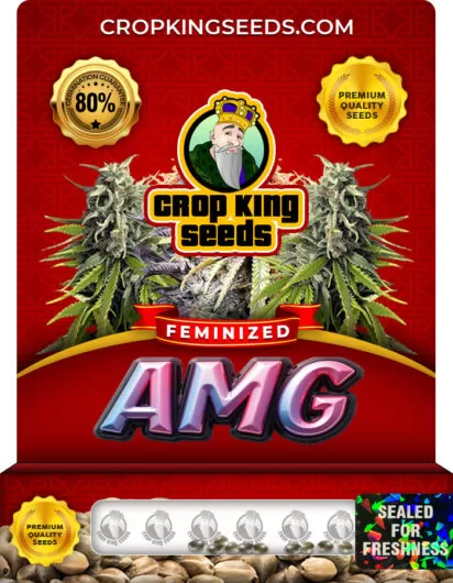 amg-image